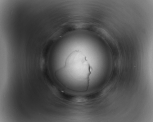 X0000092300327200709211236
