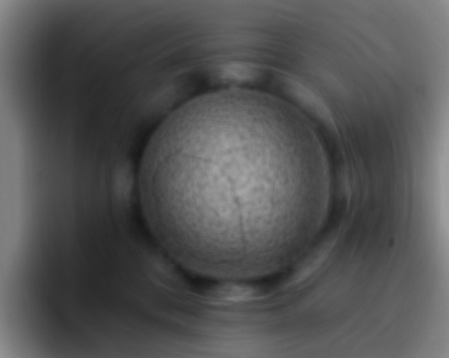 X0000092300328200709211236