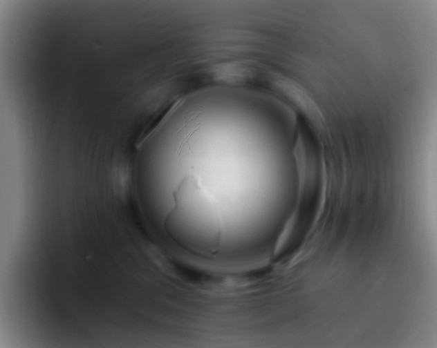 X0000092300329200709211236