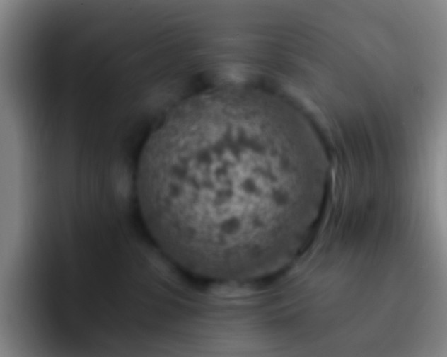 X0000092300331200709211236