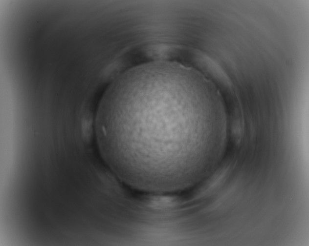 X0000092300332200709211236