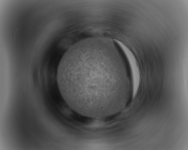 X0000092300335200709211236