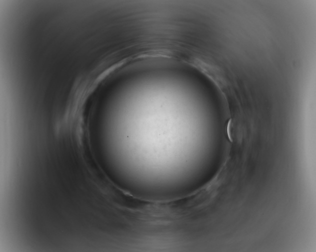 X0000092300338200709211235