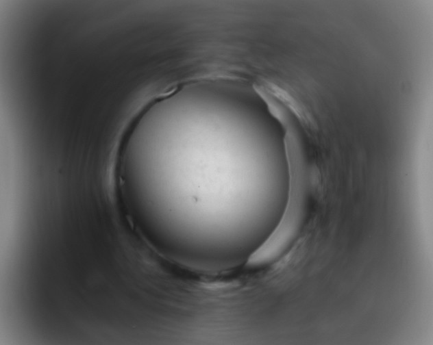 X0000092300340200709211235