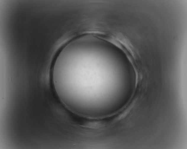 X0000092300344200709211235