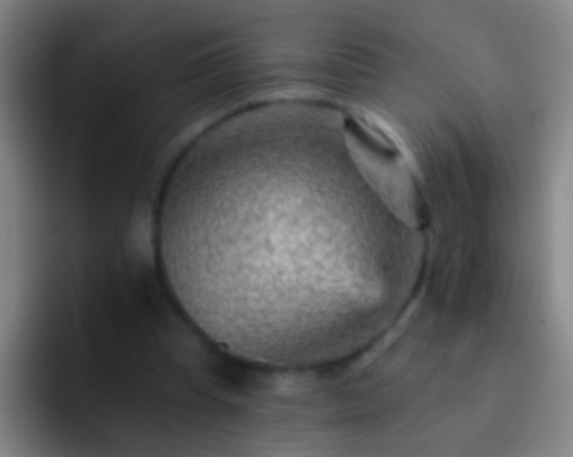 X0000092300345200709211235
