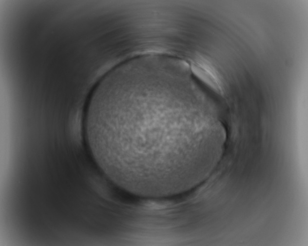 X0000092300346200709211235