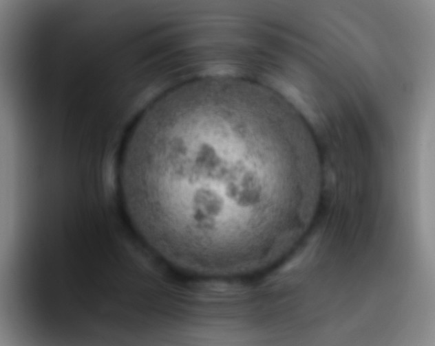 X0000092300347200709211235