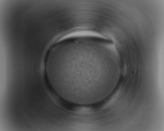 X0000092300348200709211235