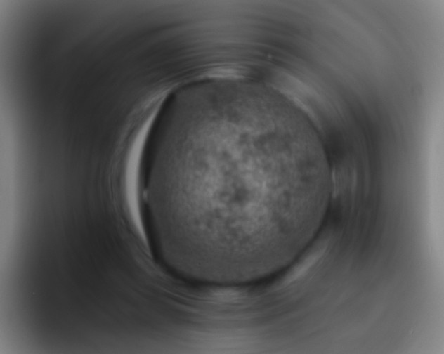 X0000092300349200709211235
