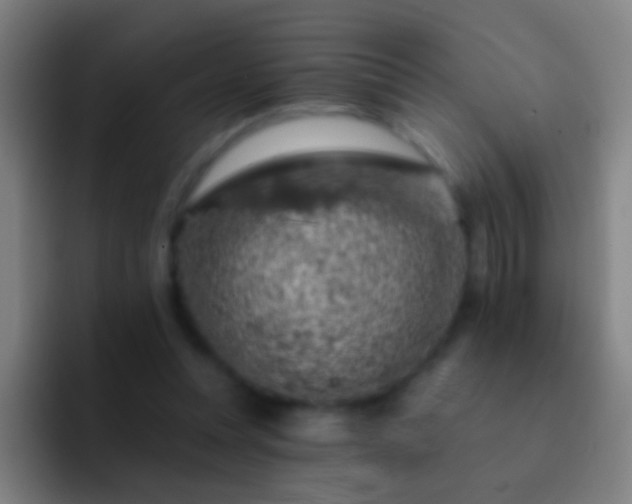 X0000092300351200709211235