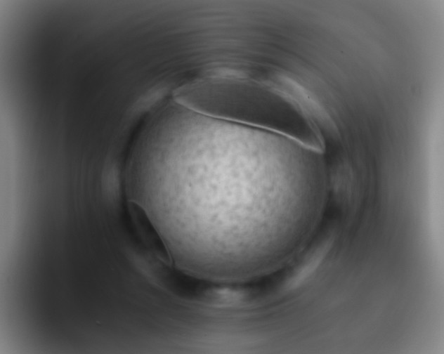X0000092300352200709211235