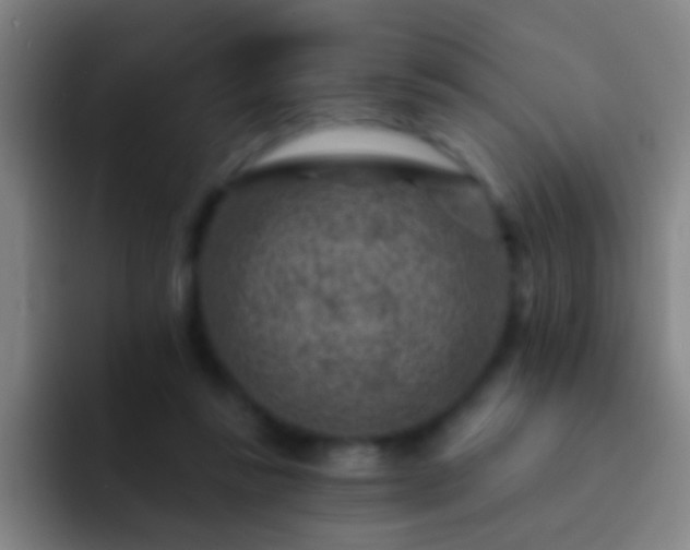 X0000092300355200709211235