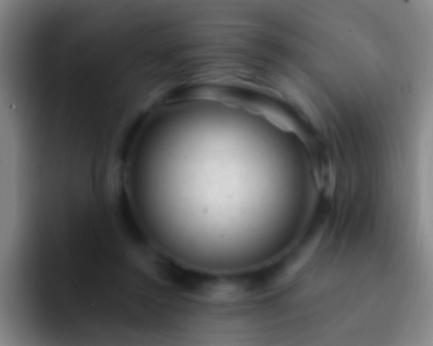 X0000092300356200709211235