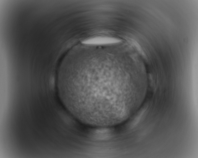 X0000092300357200709211235