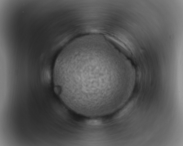 X0000092300358200709211235