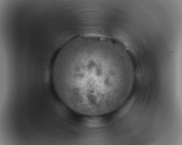 X0000092300359200709211235