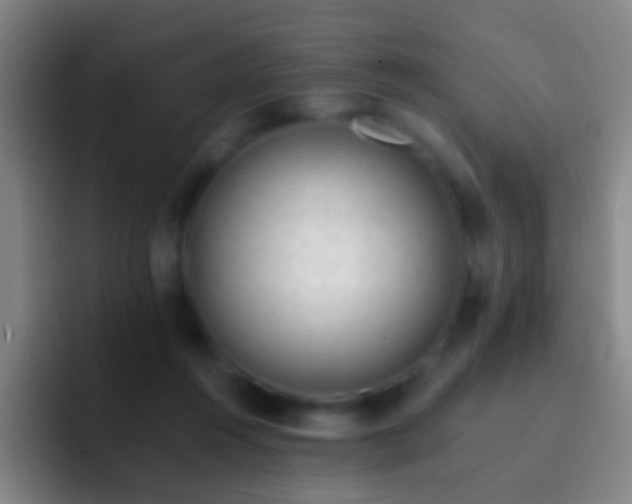 X0000092300360200709211235