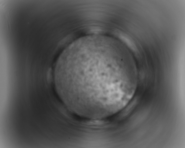 X0000092300361200709211235
