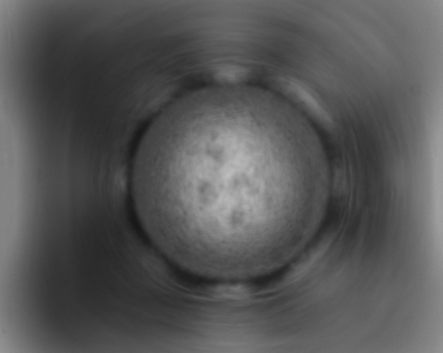 X0000092300363200709211235
