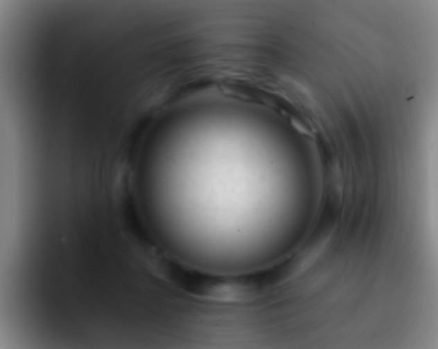 X0000092300364200709211235