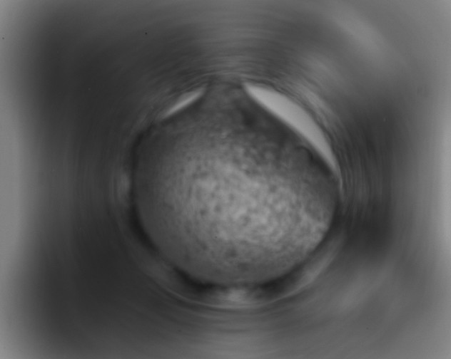 X0000092300365200709211235