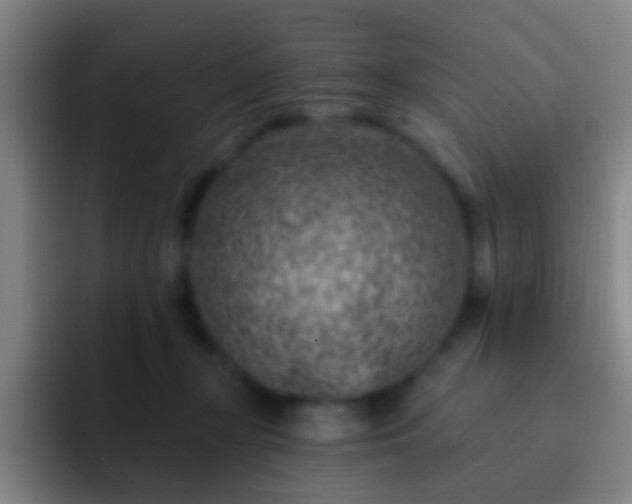 X0000092300367200709211235