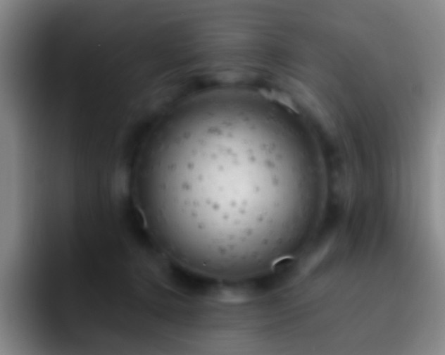X0000092300368200709211235