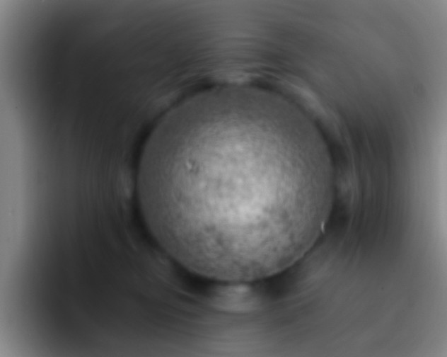 X0000092300374200709211235