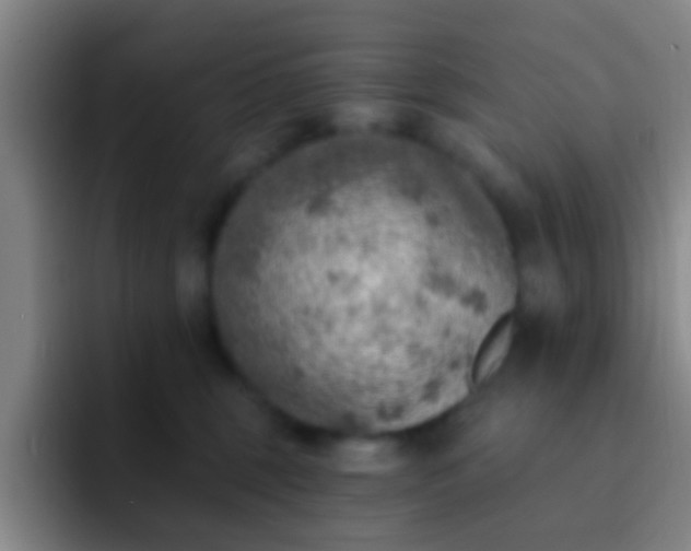 X0000092300375200709211235