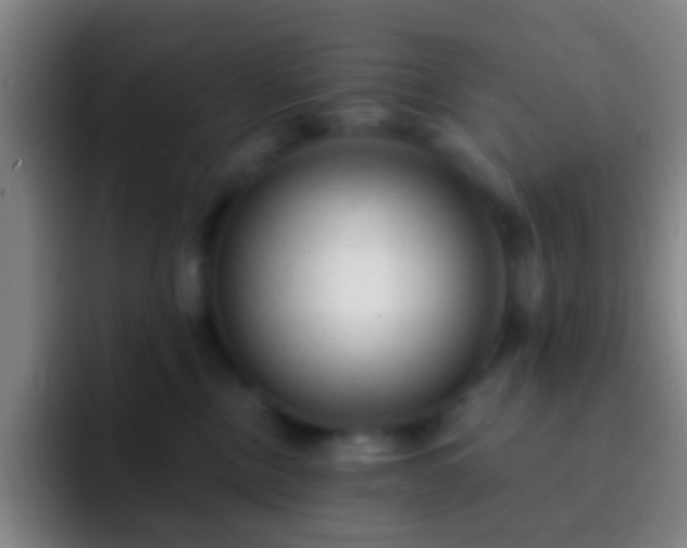 X0000092300378200709211236