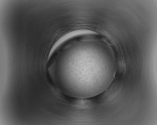 X0000092300379200709211236