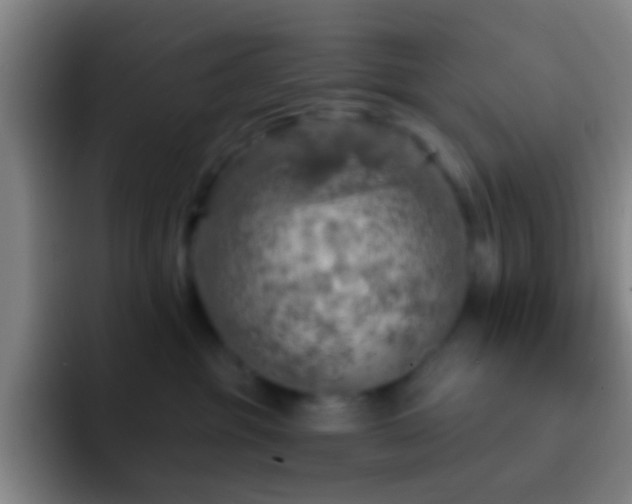 X0000092300381200709211236