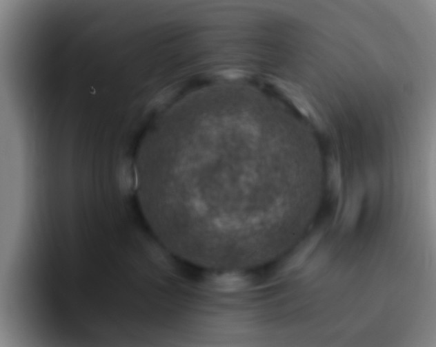 X0000092300383200709211236