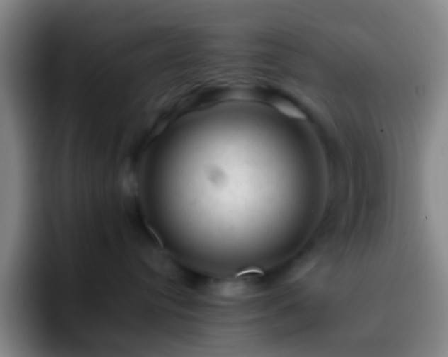 X0000092300384200709211236