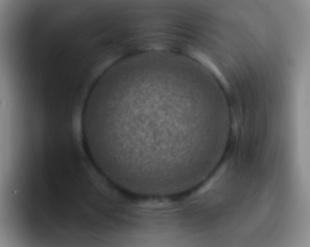 X0000092300386200709211235