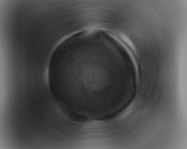 X0000092300387200709211235