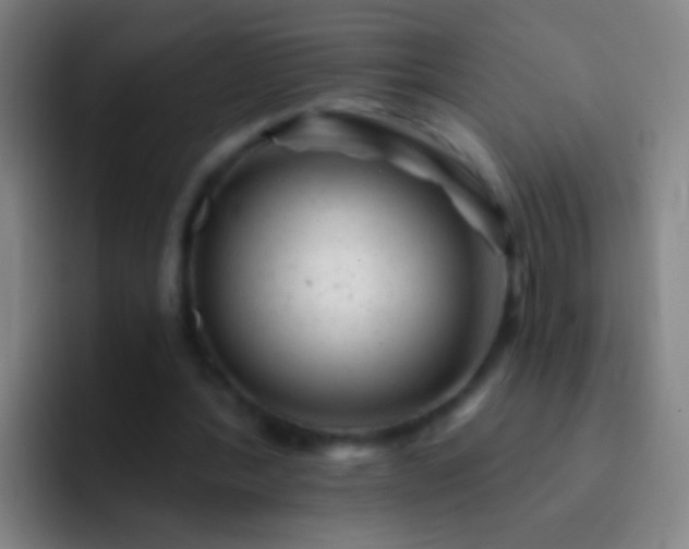 X0000092300388200709211235