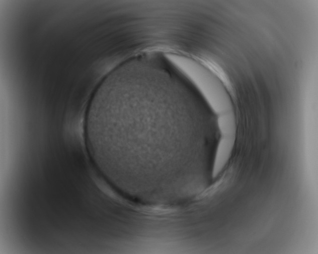 X0000092300389200709211235