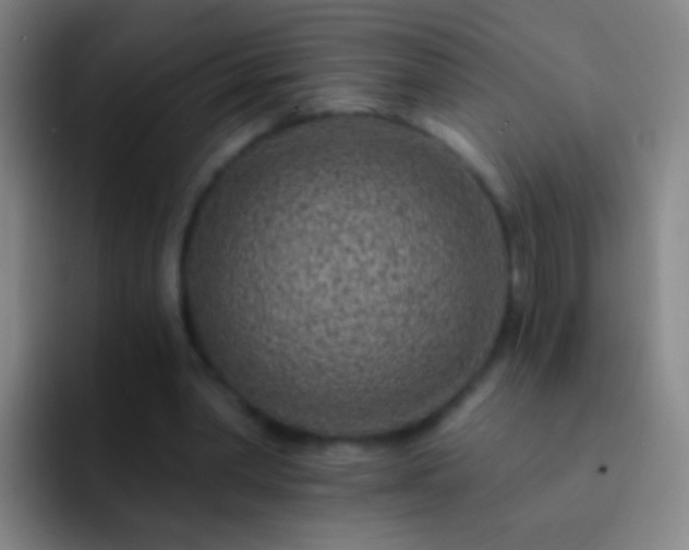 X0000092300390200709211235