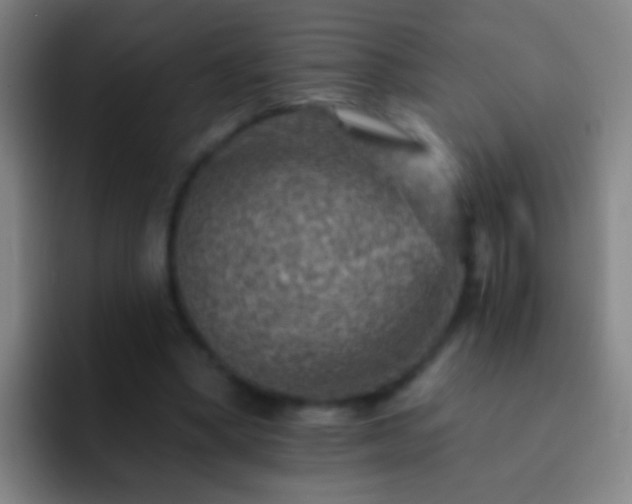 X0000092300394200709211235