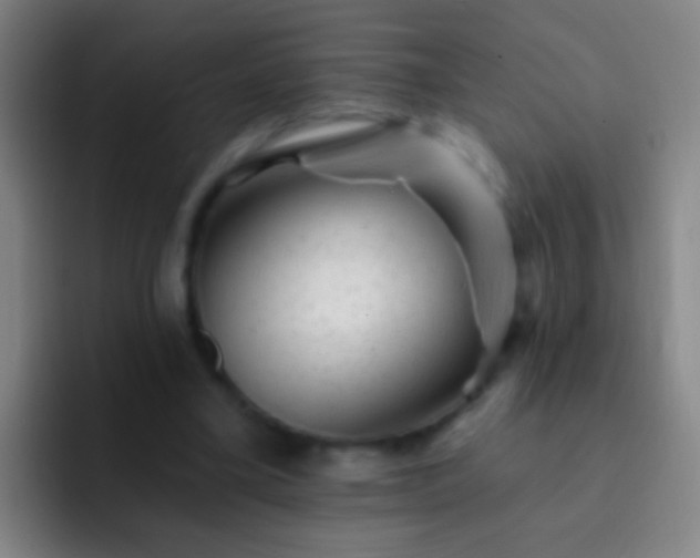X0000092300395200709211235