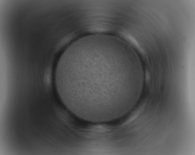 X0000092300396200709211235