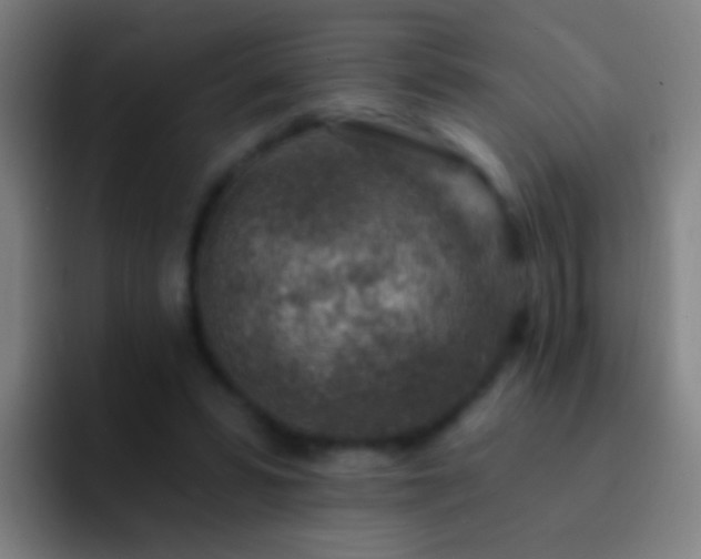 X0000092300399200709211235