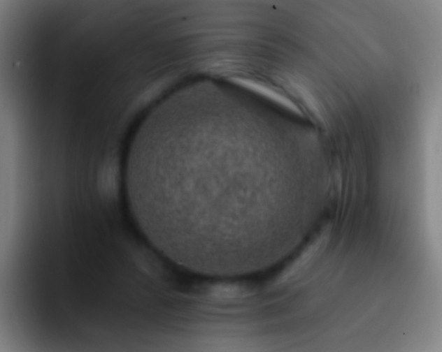 X0000092300400200709211235