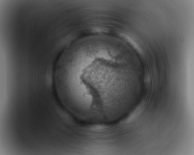 X0000092300402200709211235