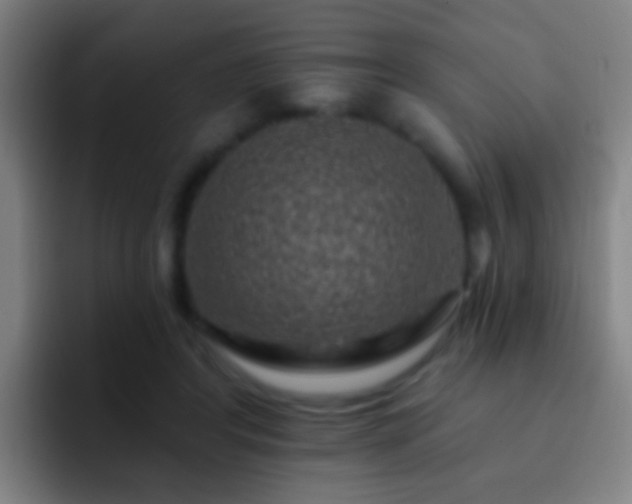 X0000092300404200709211235