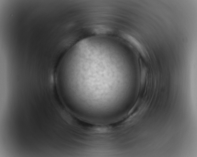X0000092300405200709211235