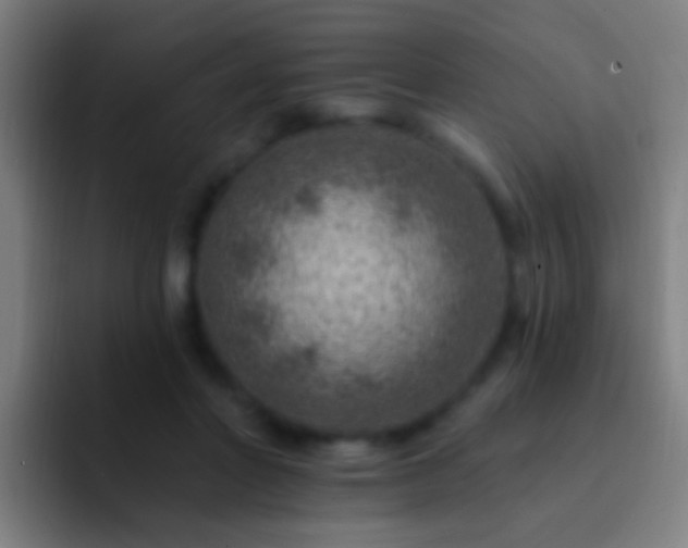 X0000092300406200709211235