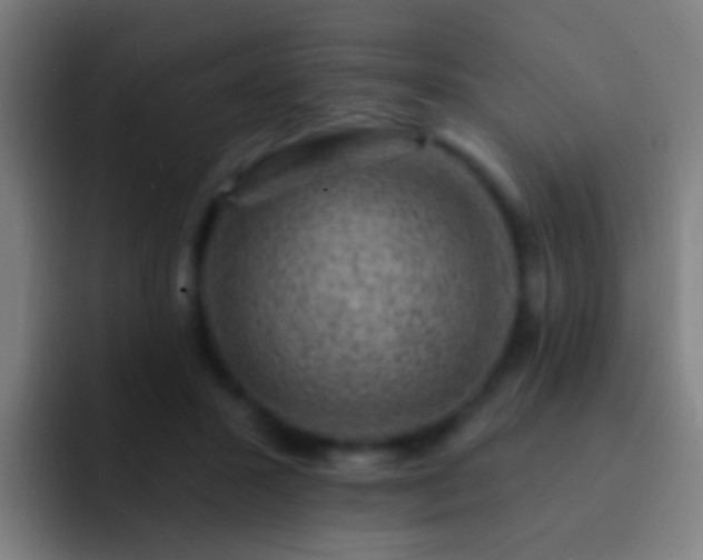 X0000092300407200709211235
